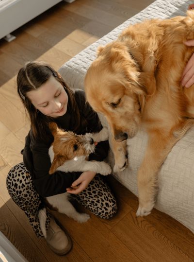 Rodzinny pobyt z psami w apartamencie