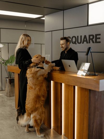 Golden retriever witany na recepcji