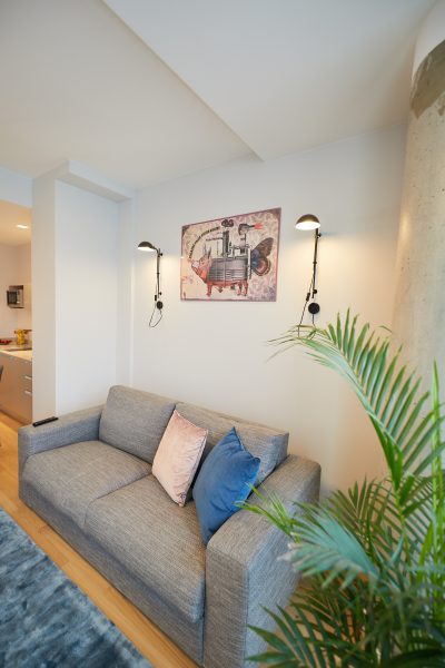 Szara sofa z poduszkami i palmą w salonie